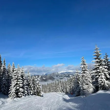 בית נופש Alpenblick Grebenzen סנט לאמברכט
