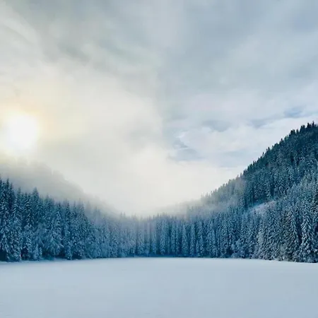 בית נופש Alpenblick Grebenzen סנט לאמברכט